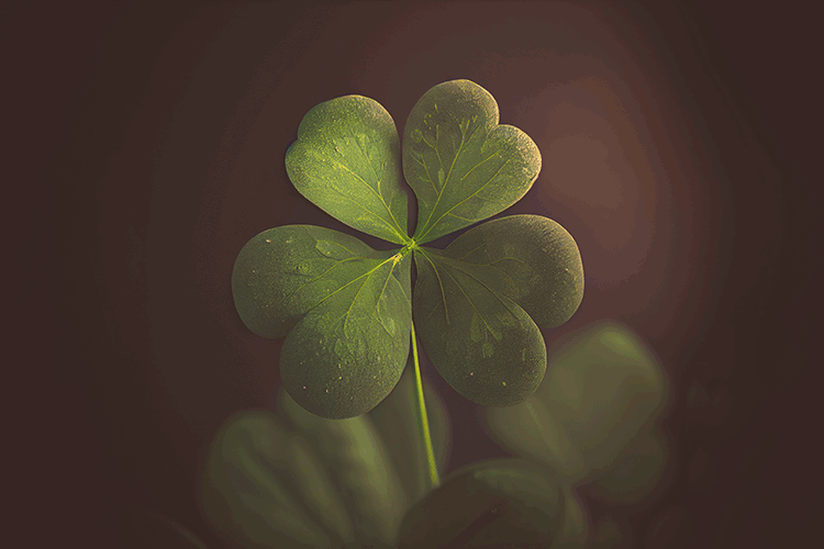 A Very Special Clover